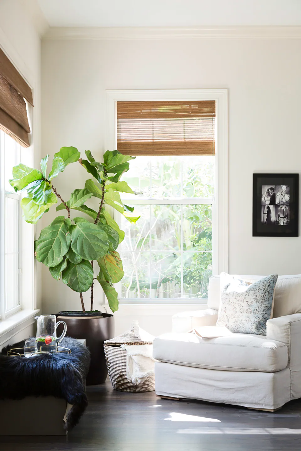Family room at Hyde Park, Tampa, Florida, interior design by MJ Designs